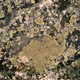 Image for article titled The Oldest Living Things in the World